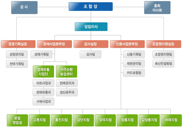 일반현황